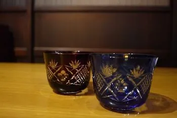 Hostel Guest House Taiko-Ya Kyoto Japan