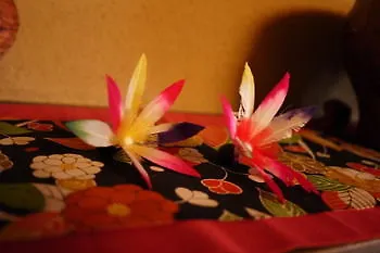 Guest House Taiko-Ya Kyoto 0*,